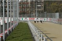 45-Greyhound_Race_Track_Prague_NQ1M0175.JPG