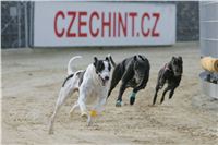 47-Greyhound_Race_Track_Prague_NQ1M0191.JPG