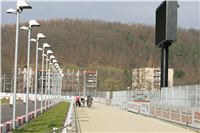 48-Greyhound_Race_Track_Prague_NQ1M0196.JPG