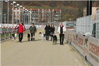 50-Greyhound_Race_Track_Prague_NQ1M0201.JPG