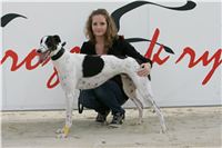 51-Greyhound_Race_Track_Prague_NQ1M0218.JPG