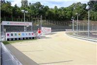 Greyhound_Park_Motol_Prague_Czech_Greyhound_Racing_Federation_IMG_IMG_9853.JPG