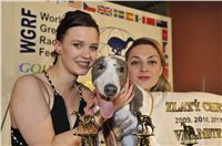 Golden_Greyhound_Winner_White_Czech_Greyhound_Racing_Federation.jpg