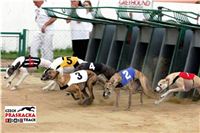 White_Race_Track_Praskacka_Czech_Greyhound_Racing_Federation.JPG