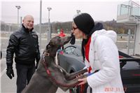 Greyhound_Park_Motol_Prague_Racing_DSC04968.JPG