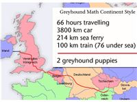 Greyhound_Puppy_Thelma_Louise_trip_from_Ireland.jpg