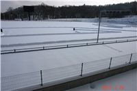 Winter_Greyhound_Park_Motol_CGDF_DSC09281.JPG