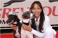 Greyhound_Puppy_Dior_&_Chanel_singer_Heidi_Czech_Greyhound_Racing_Federation.jpg