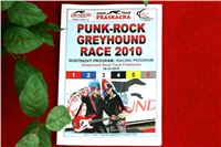 Punk-rock-greyhound-race-czech-greyhound-racing-federation-2.jpg
