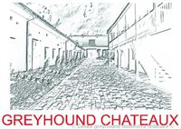 Greyhound_Chateaux_Prague_Czech_Greyhound_Racing_Federation.jpg