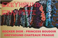 Greyhound_Graffiti_Rocker_Dior_Greyhound_Chateaux_Prague.jpg