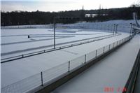 Winter_Greyhound_Park_Motol_CGDF_DSC09282.JPG