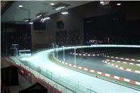 Greyhound_Park_Motol_Night_race_IMG_4583.JPG