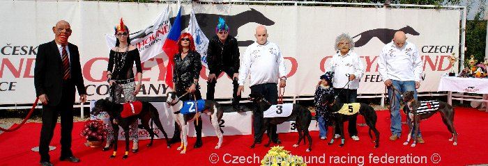 Czech_Greyhound_Racing_Federation_ST_LEGER_2009_DSC08608.jpg
