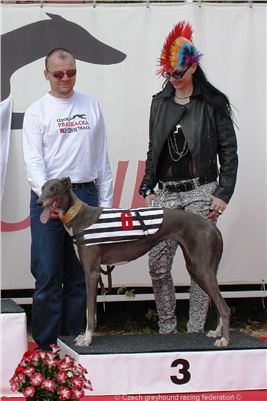 Czech_Greyhound_Racing_Federation_ST_LEGER_2009_DSC08649-viola.jpg