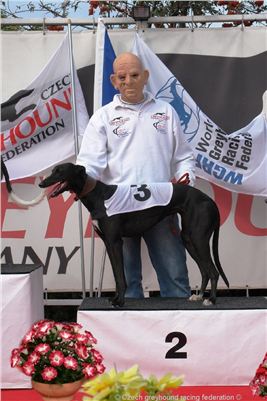 Czech_Greyhound_Racing_Federation_ST_LEGER_2009_DSC08652-lijana.jpg
