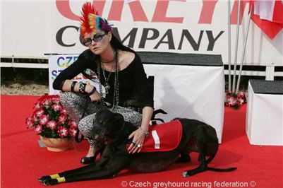 Czech_Greyhound_Racing_Federation_ST_LEGER_2009_NQ1M7095.jpg