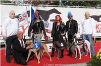 Czech_Greyhound_Racing_Federation_ST_LEGER_2009_DSC08529.JPG