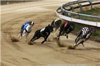 Czech_Greyhound_Racing_Federation_ST_LEGER_2009_DSC08620.jpg