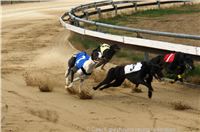 Czech_Greyhound_Racing_Federation_ST_LEGER_2009_DSC08621.jpg