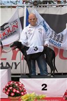 Czech_Greyhound_Racing_Federation_ST_LEGER_2009_DSC08652-lijana.jpg