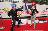 Czech_Greyhound_Racing_Federation_ST_LEGER_2009_DSC08779.jpg