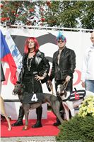 Czech_Greyhound_Racing_Federation_ST_LEGER_2009_NQ1M6933.JPG