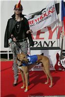 Czech_Greyhound_Racing_Federation_ST_LEGER_2009_NQ1M6936.JPG