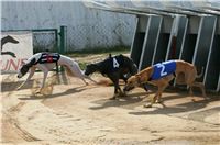 Czech_Greyhound_Racing_Federation_ST_LEGER_2009_NQ1M6942.jpg