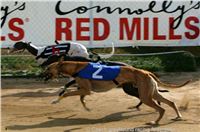 Czech_Greyhound_Racing_Federation_ST_LEGER_2009_NQ1M6946.jpg