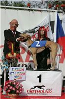 Czech_Greyhound_Racing_Federation_ST_LEGER_2009_NQ1M6986-moet-vitez.JPG