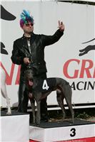 Czech_Greyhound_Racing_Federation_ST_LEGER_2009_NQ1M6994.JPG