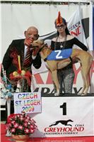 Czech_Greyhound_Racing_Federation_ST_LEGER_2009_NQ1M6999.JPG