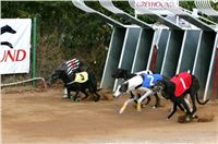 Czech_Greyhound_Racing_Federation_ST_LEGER_2009_NQ1M7102.jpg