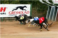 Czech_Greyhound_Racing_Federation_ST_LEGER_2009_NQ1M7104.jpg