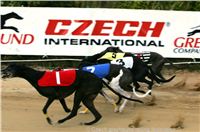 Czech_Greyhound_Racing_Federation_ST_LEGER_2009_NQ1M7109.jpg