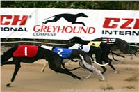 Czech_Greyhound_Racing_Federation_ST_LEGER_2009_NQ1M7110.jpg