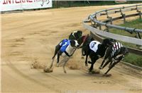 Czech_Greyhound_Racing_Federation_ST_LEGER_2009_NQ1M7134.jpg