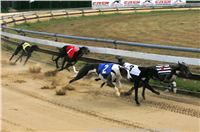 Czech_Greyhound_Racing_Federation_ST_LEGER_2009_NQ1M7138.jpg