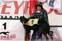 Czech_Greyhound_Racing_Federation_ST_LEGER_2009_NQ1M7244.JPG