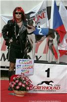 Czech_Greyhound_Racing_Federation_ST_LEGER_2009_NQ1M7285.JPG