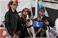 Czech_Greyhound_Racing_Federation_ST_LEGER_2009_NQ1M7300.JPG