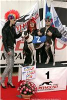 Czech_Greyhound_Racing_Federation_ST_LEGER_2009_NQ1M7314-cayenn-vitez.JPG