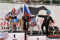 Czech_Greyhound_Racing_Federation_ST_LEGER_2009_celek-300DSC08600.JPG