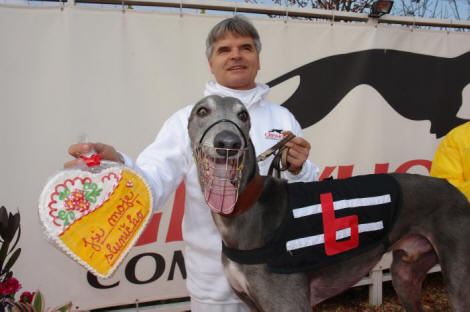 Czech_Greyhound_Racing_Federation_ST_LEGER_2008_DSC05773_small.jpg