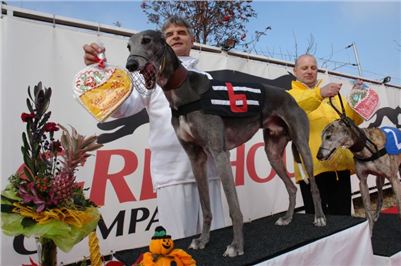 Czech_Greyhound_Racing_Federation_ST_LEGER_2008_DSC05784.jpg