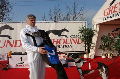 Czech_Greyhound_Racing_Federation_ST_LEGER_2008_DSC05837.jpg