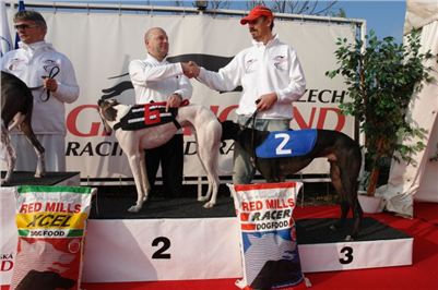 Czech_Greyhound_Racing_Federation_ST_LEGER_2008_DSC05875.jpg