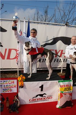 Czech_Greyhound_Racing_Federation_ST_LEGER_2008_DSC05878.jpg