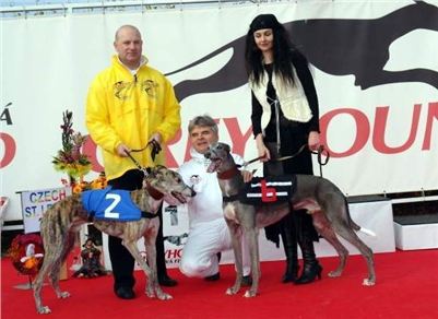 Czech_Greyhound_Racing_Federation_ST_LEGER_2008_Kopie_u_v_r_-DSC05757.jpg